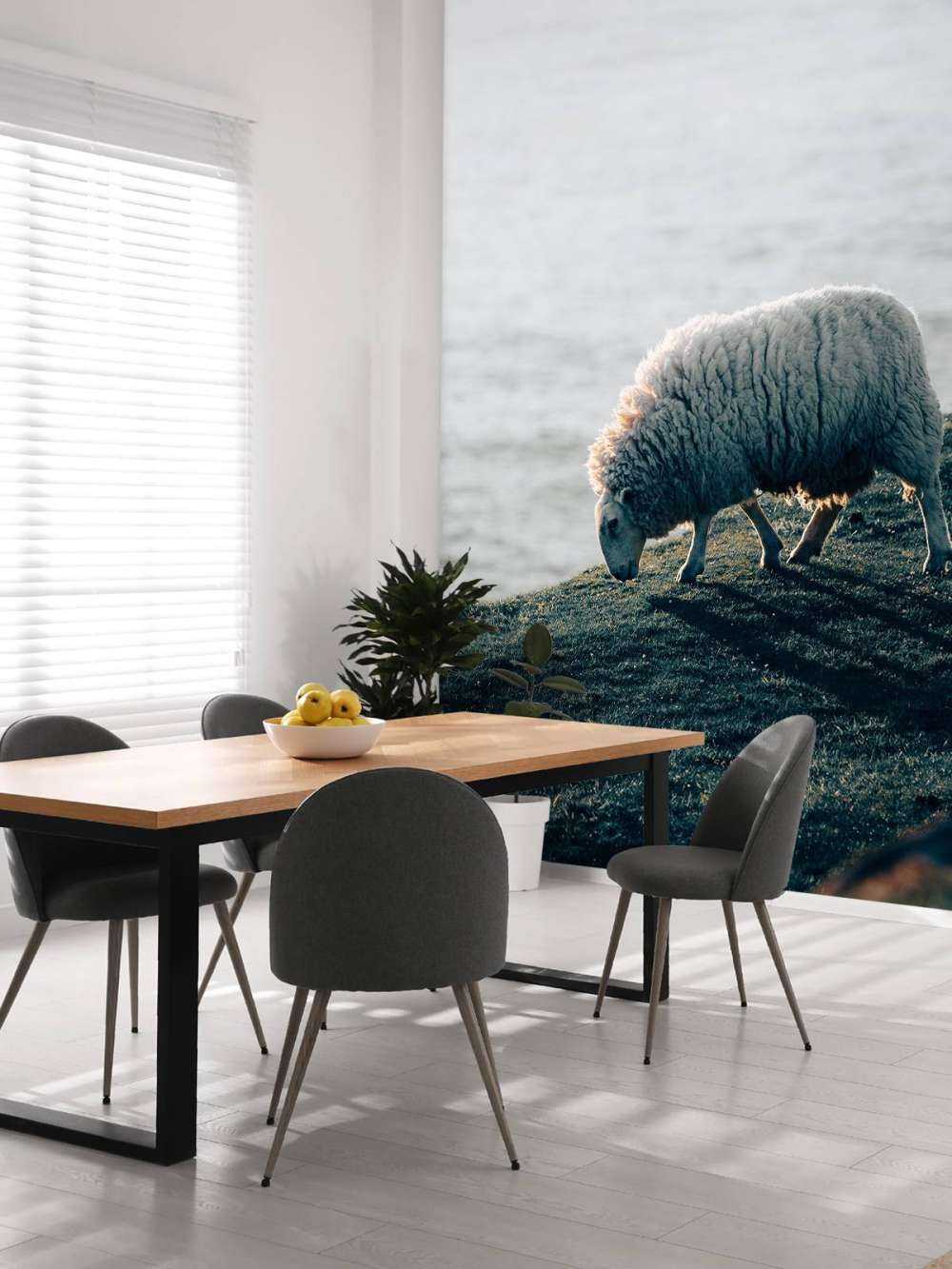 Weidende Schafe