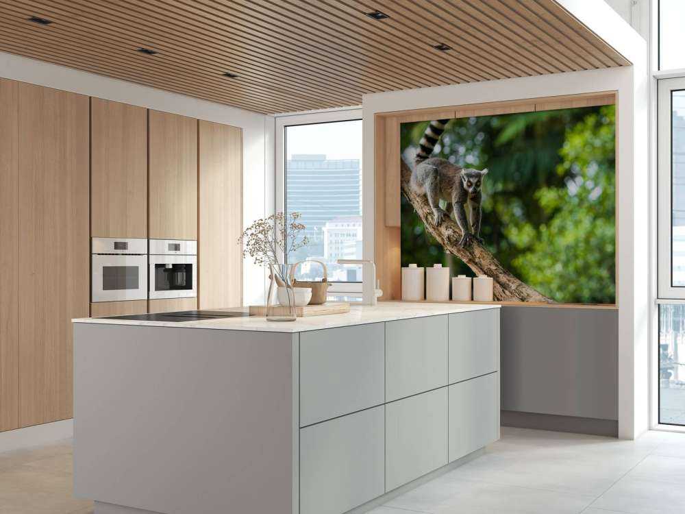 Ringelschwanzaffe in einem Baum