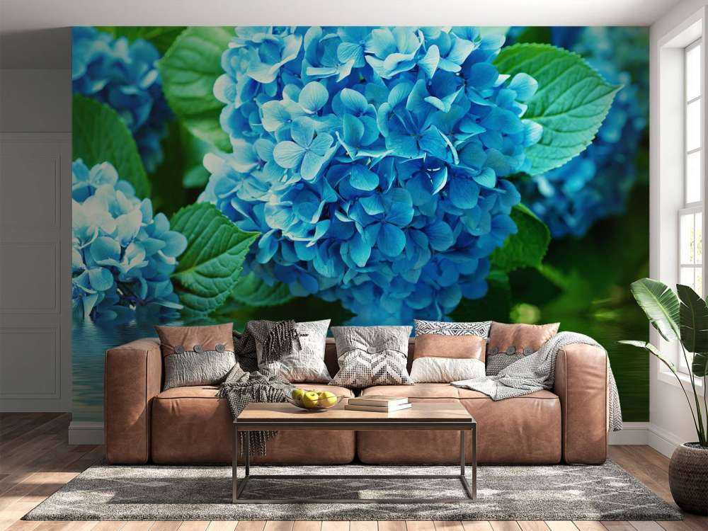 Hortensie im Wasser