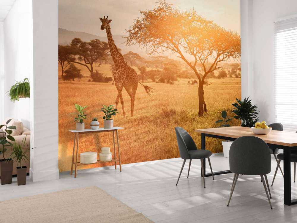 Wild giraffe