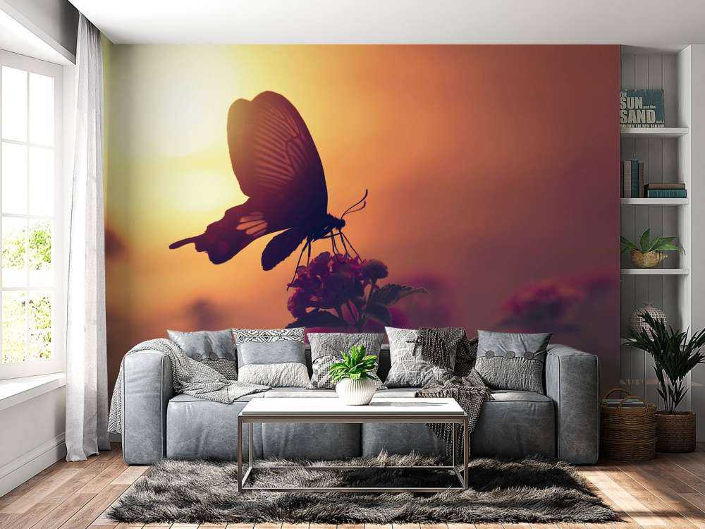 Schmetterling mit Sonnenuntergang