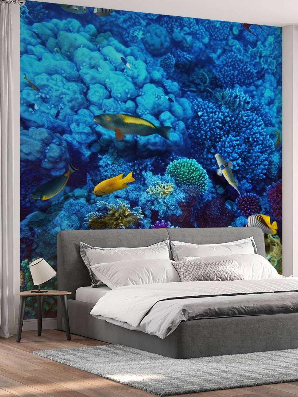 Fische und Korallen