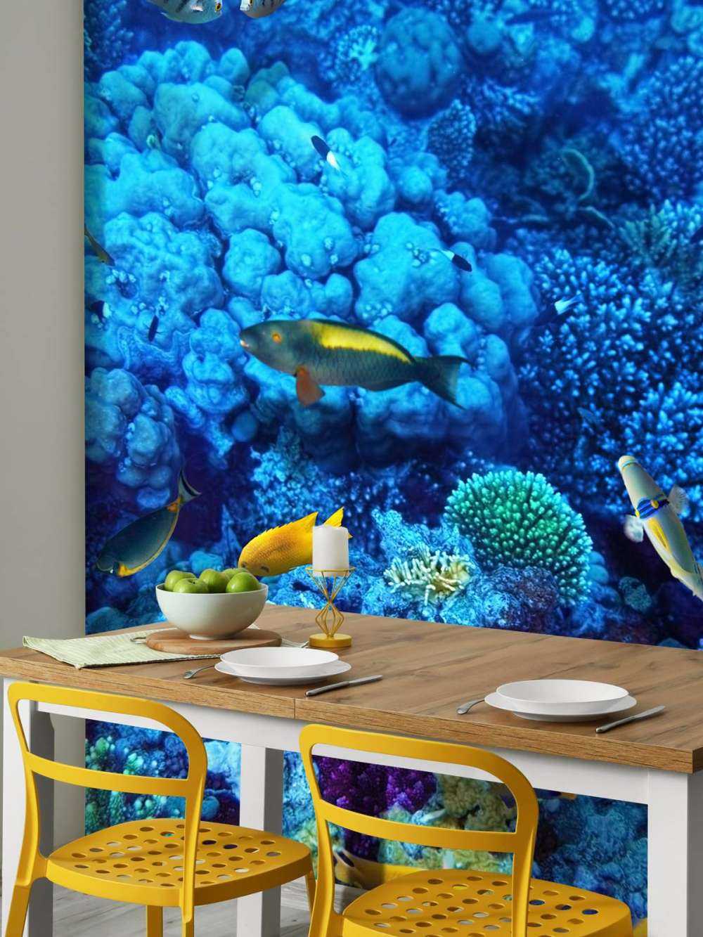 Fische und Korallen