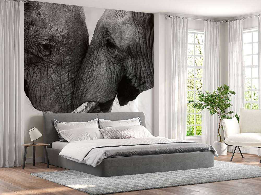 Fototapete Elefanten
