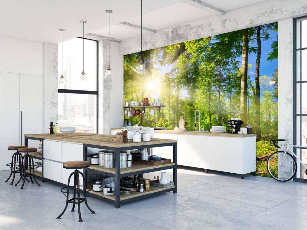 Wald mit Sonnenstrahlen
