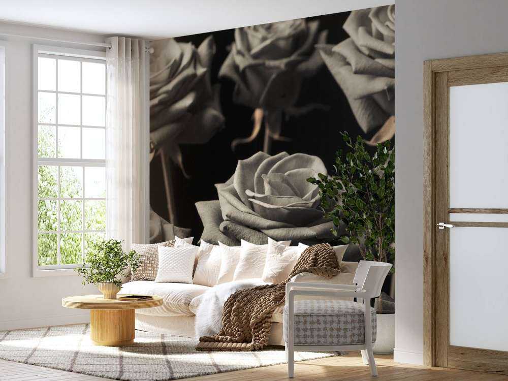 Sepia-Rosen