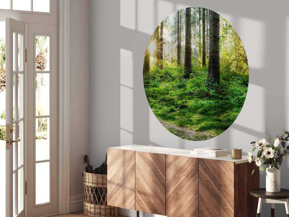 Waldpanorama im Frühling