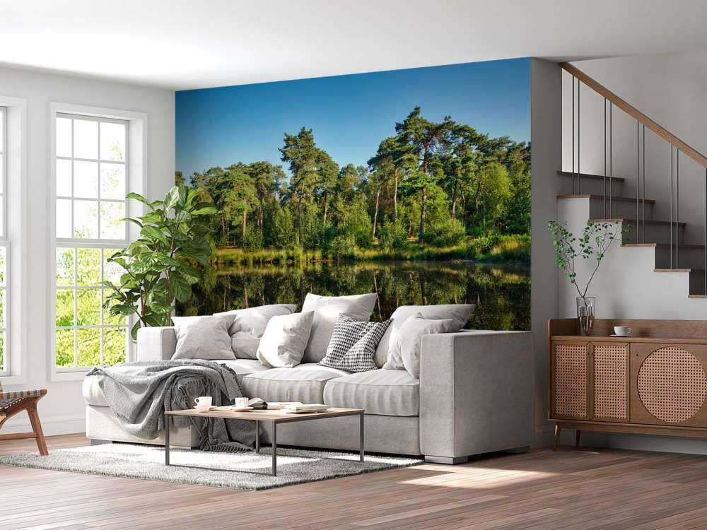 Spiegelung in den Bosvern