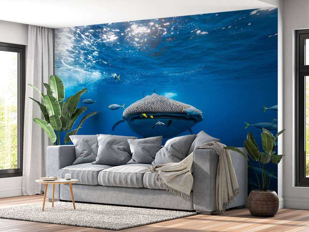 Whale shark escorted by a school of bonito