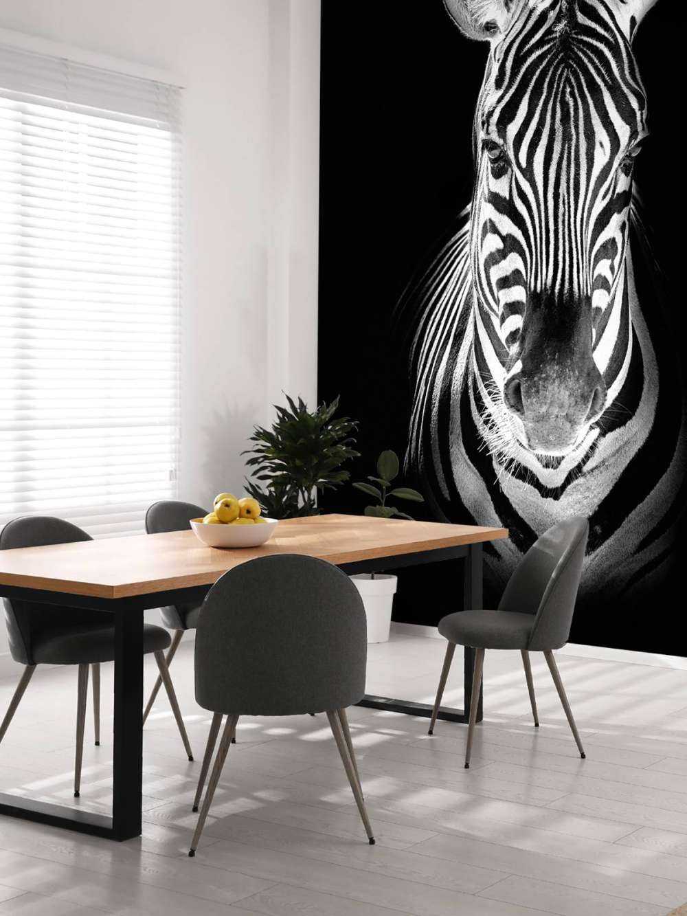 Nahaufnahme Zebra schwarz-weiß