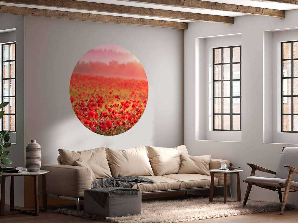 Feld mit Mohnblumen