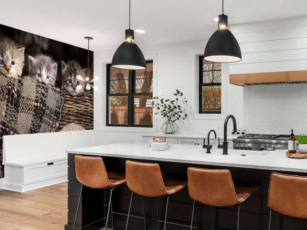 Drei Katzen in einem Korb