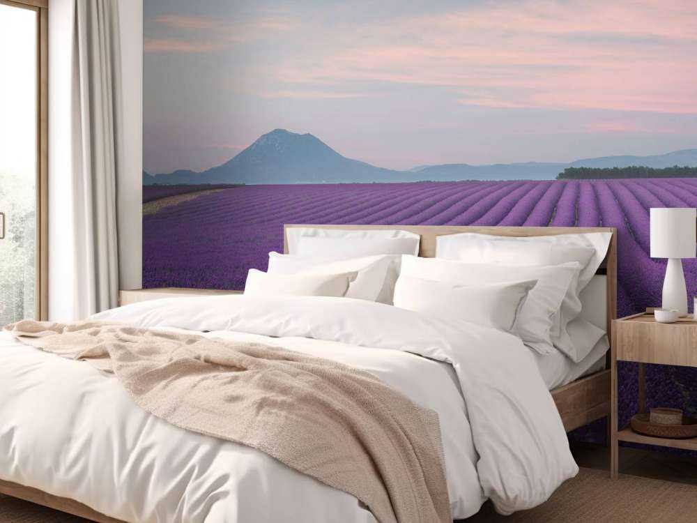 Lavender field