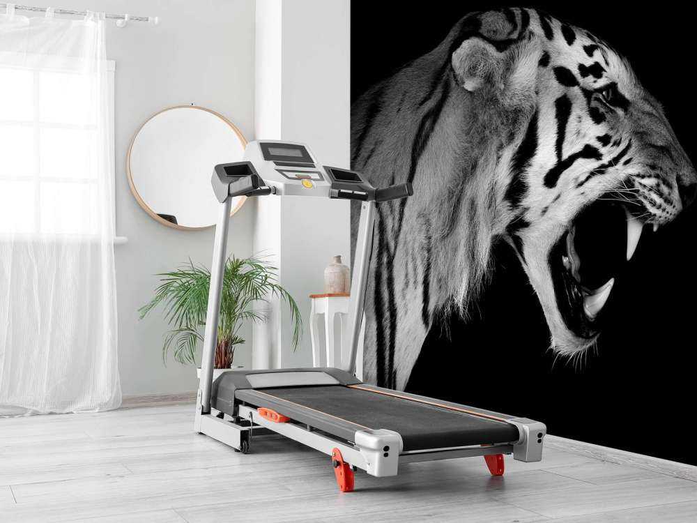 Brüllender Tiger schwarz