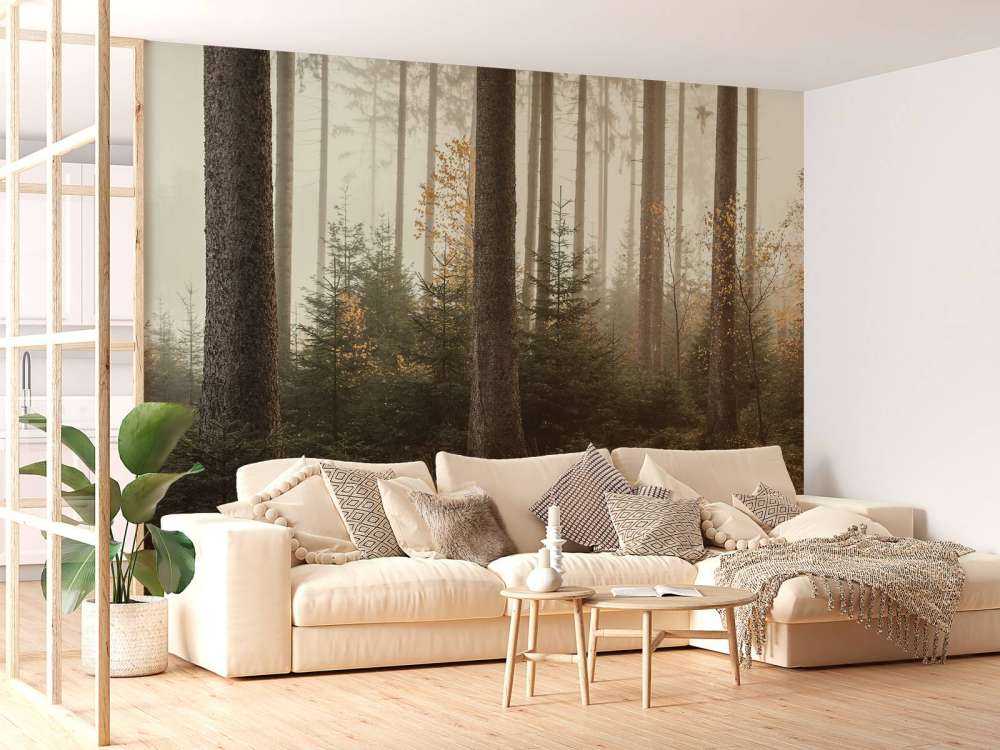 Der Kaufunger Wald
