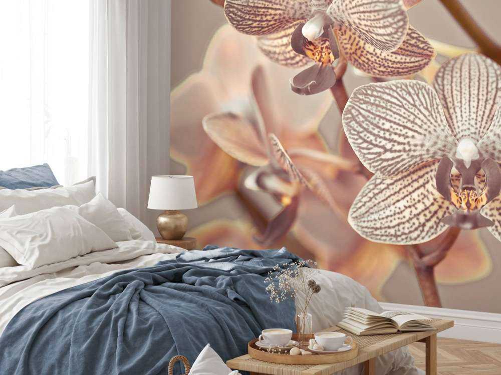 Nahaufnahme einer Orchidee