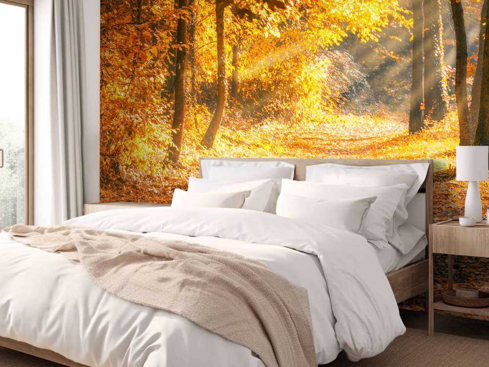 Panorama im Herbst