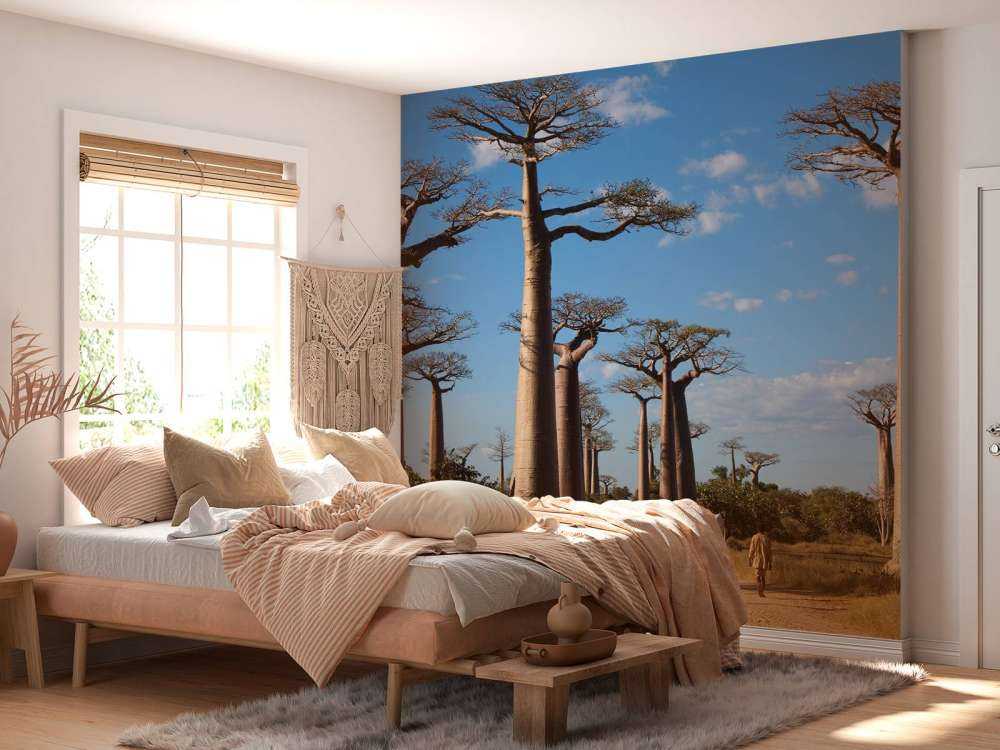 Baobab-Bäume