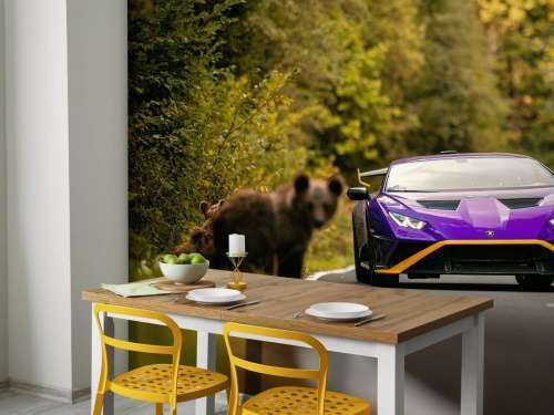 Lamborghini vs. Wildnis