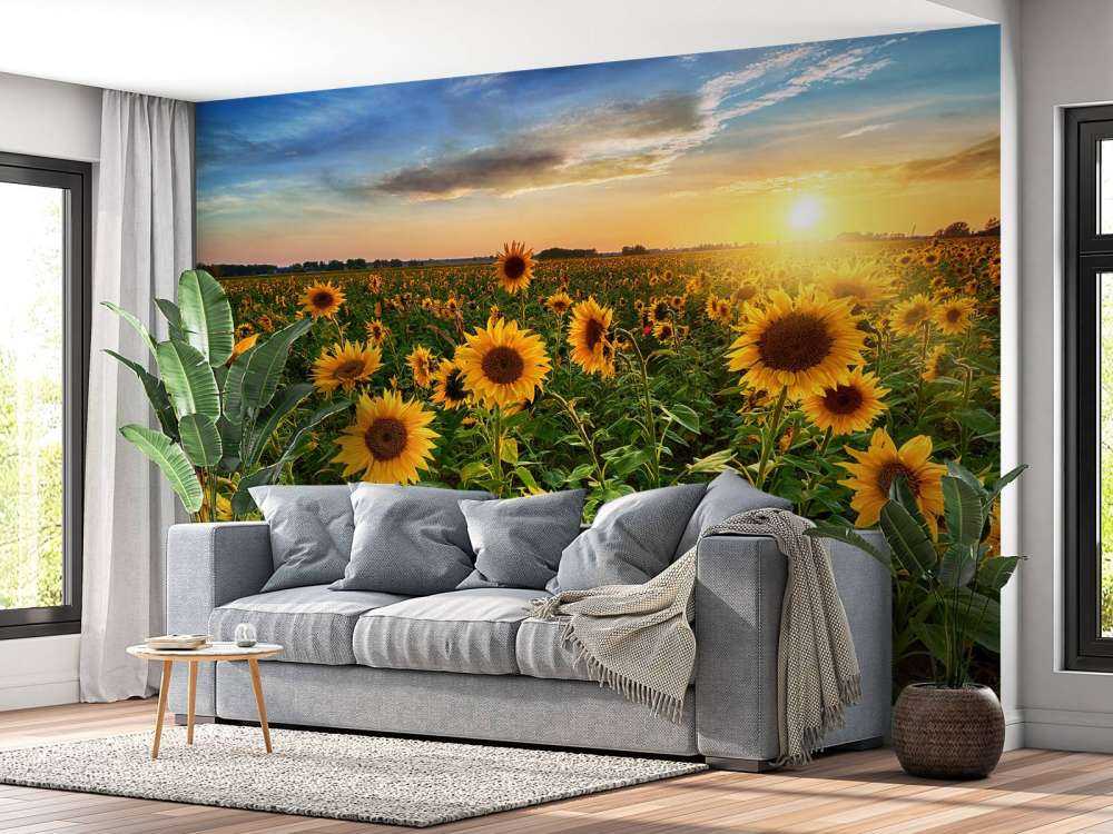 Schönes Sonnenblumenfeld