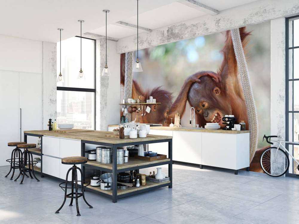 Baby-Orang-Utans