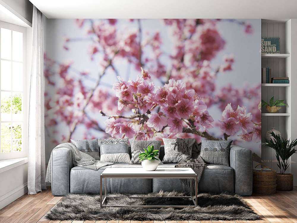 Nahaufnahme der rosa Blüte