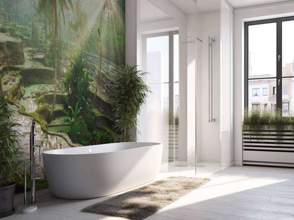 Reisfelder im Dschungel