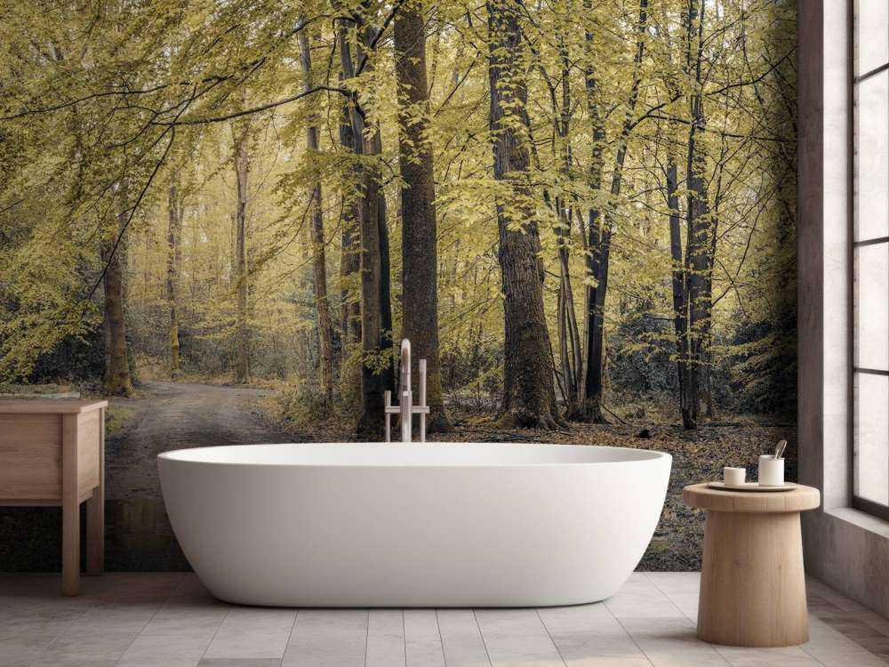 Pfad durch grünen Wald