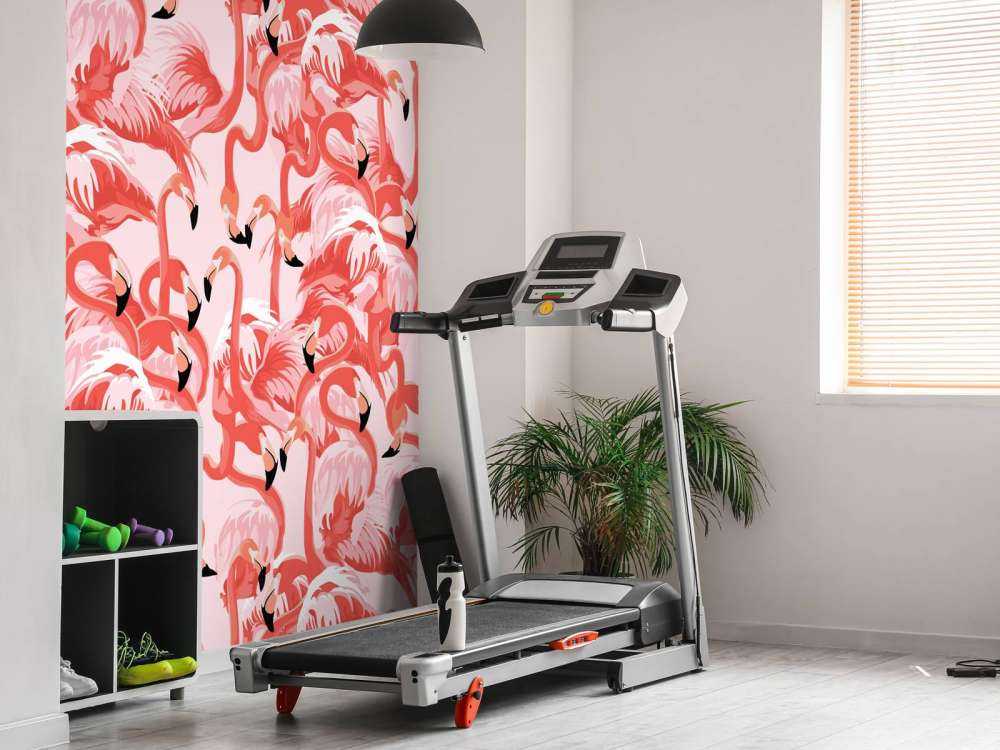 Exotische Flamingos
