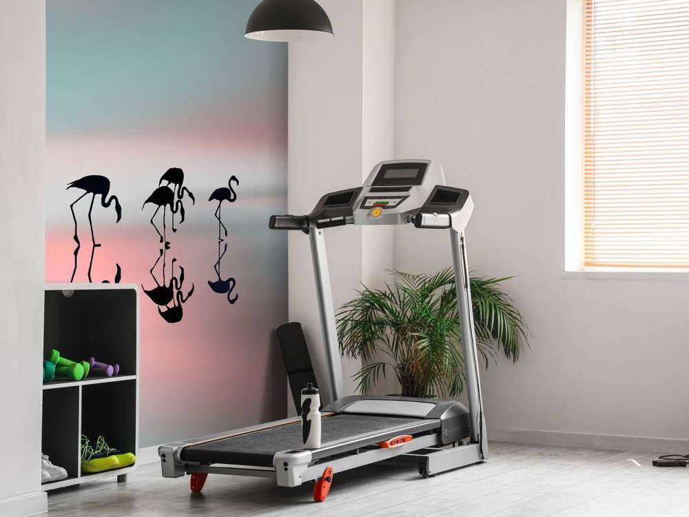 Family flamingos