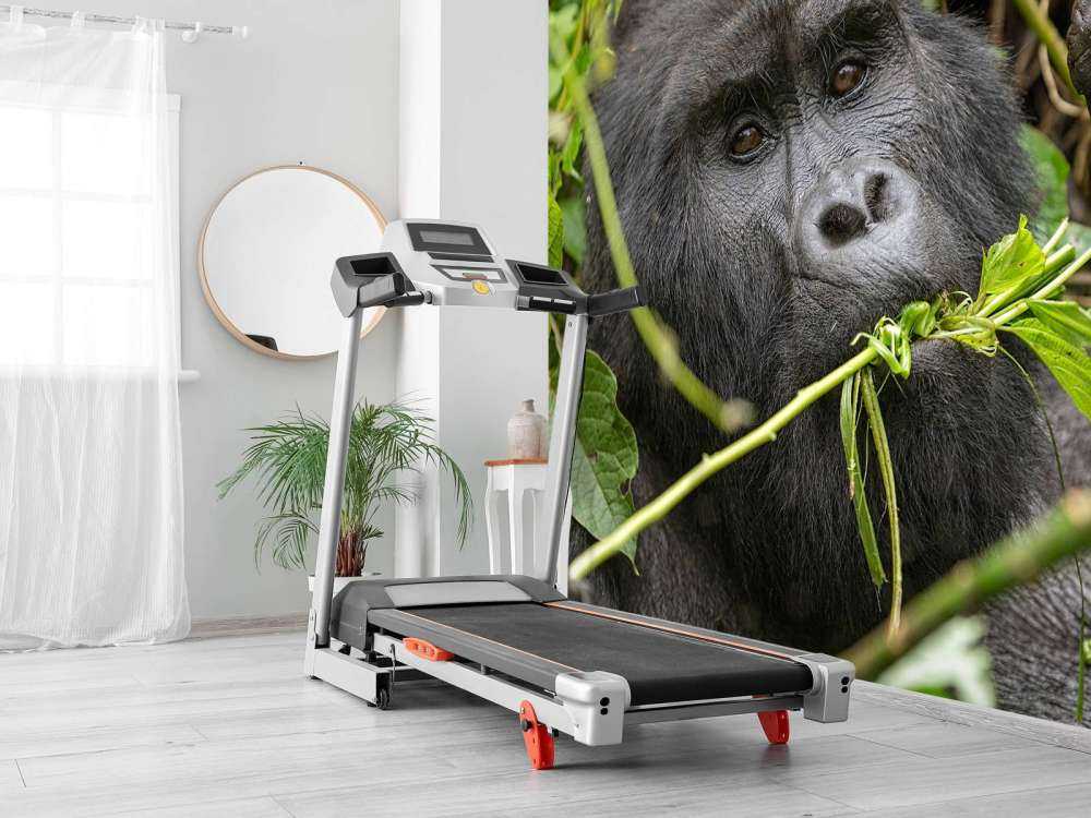 Gorilla zwischen den Ästen