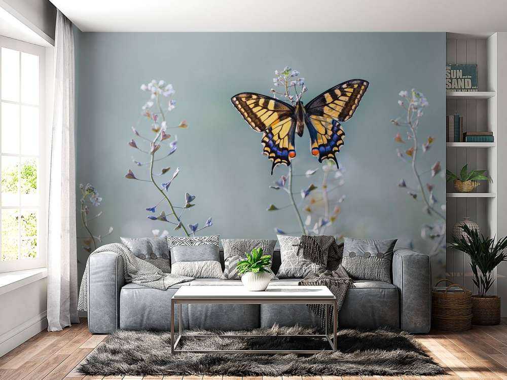 Swallowtail beauty
