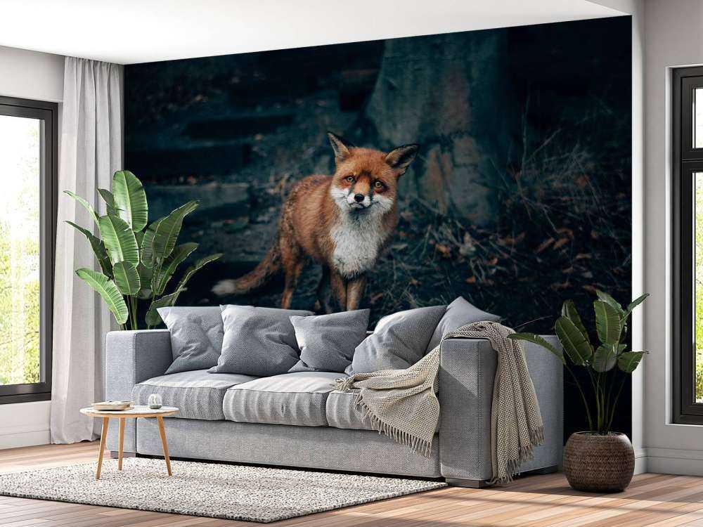 Neugieriger Fuchs