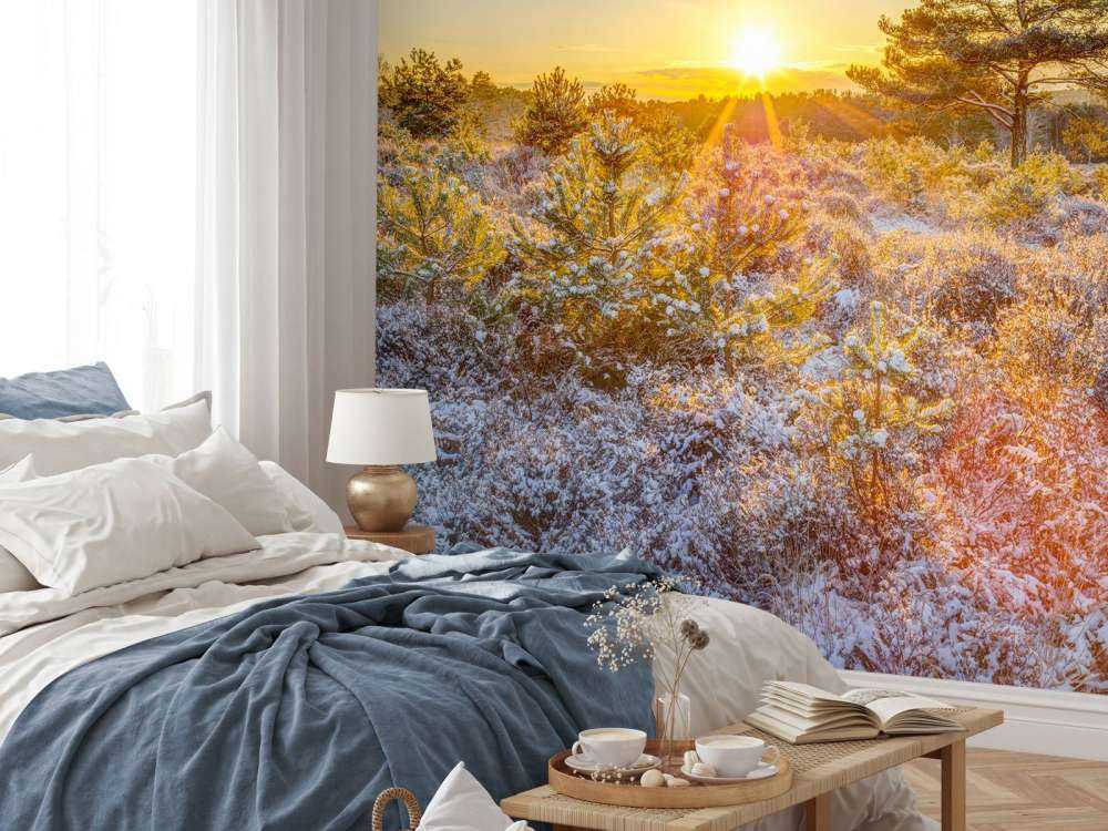 Winter Sonnenuntergang