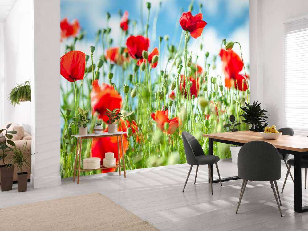Feld mit Mohnblumen