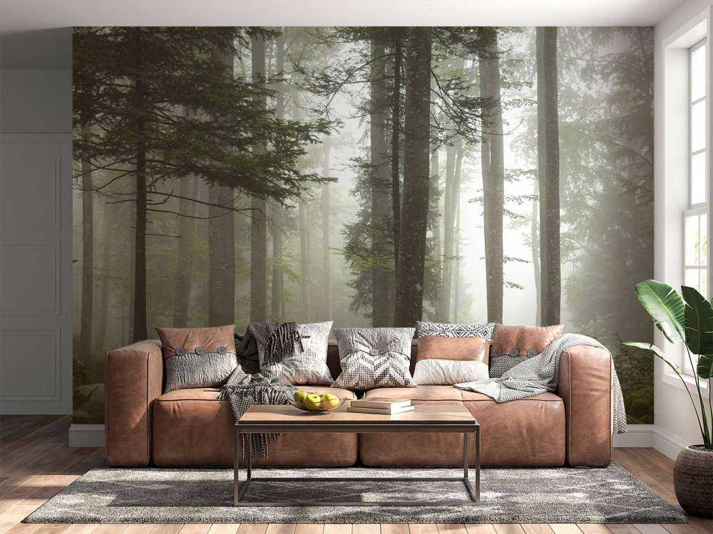 Schöne neblige Landschaft