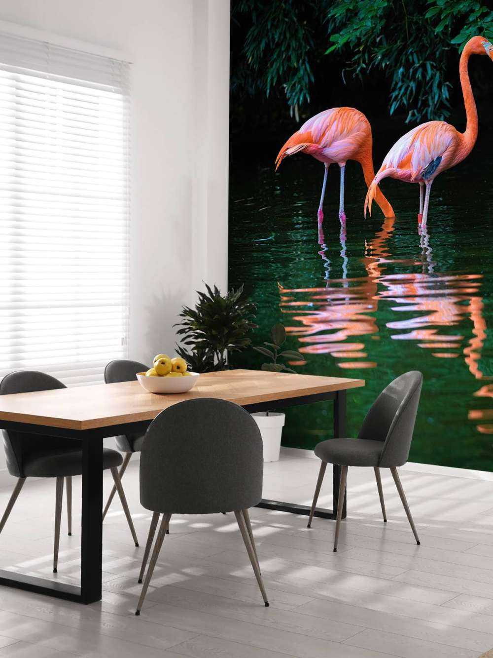 Karibische Flamingos