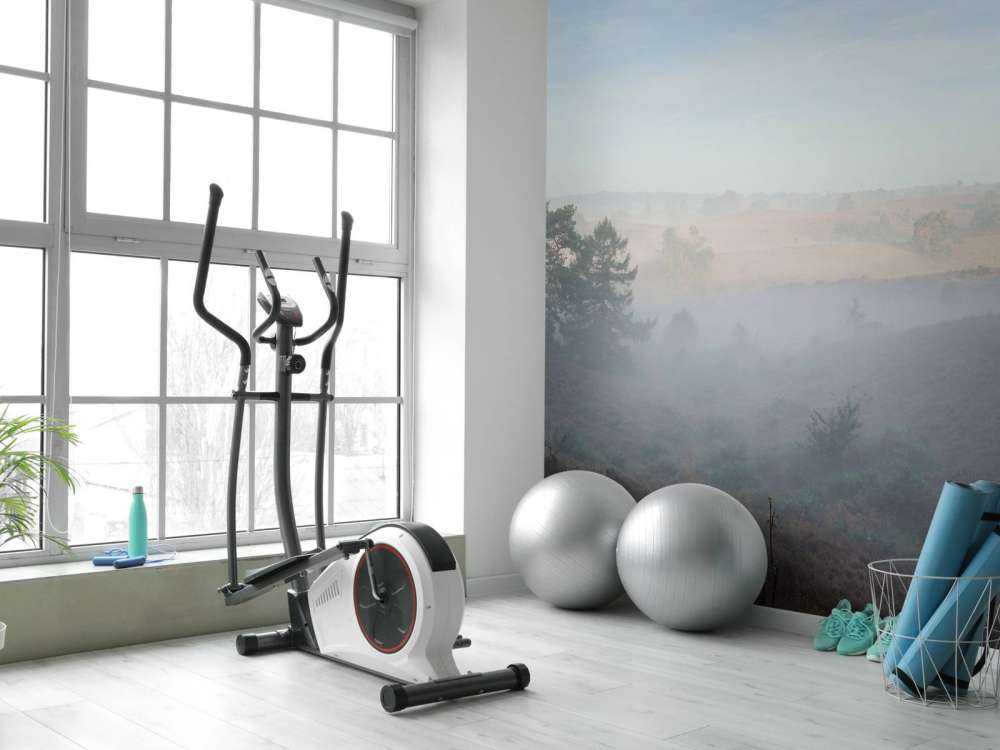 Nebel auf der Heide