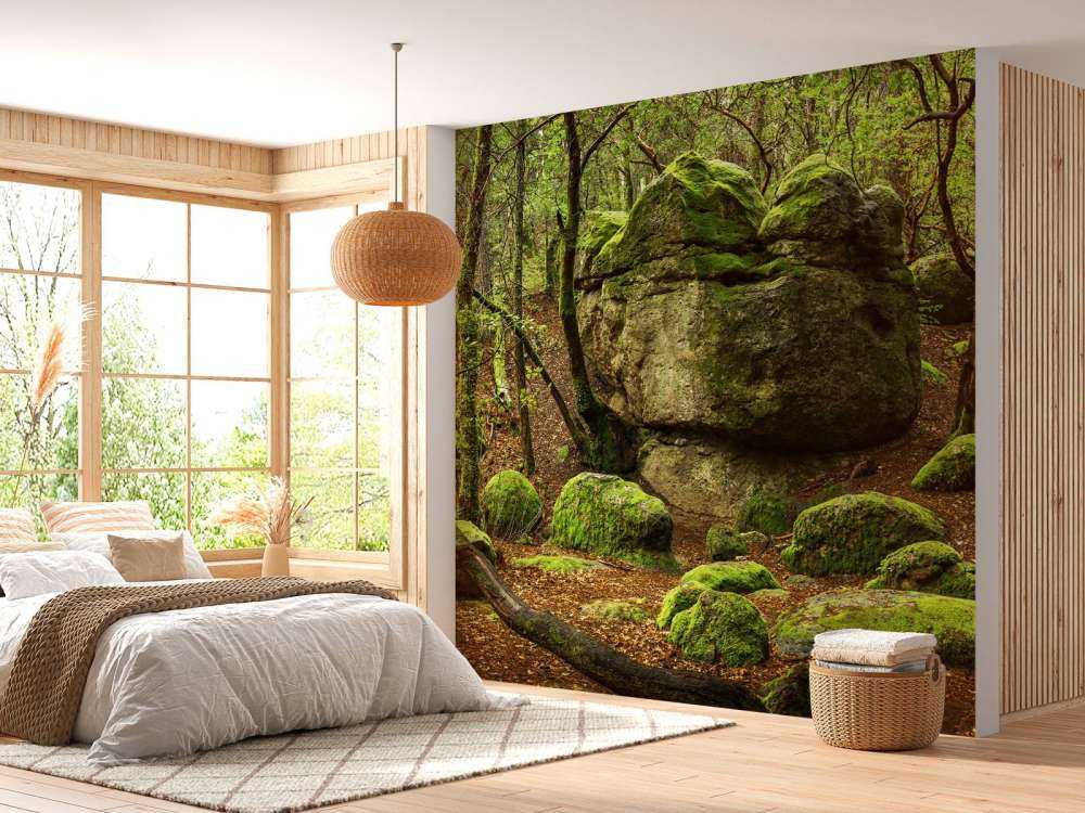 Zauberhafter Wald
