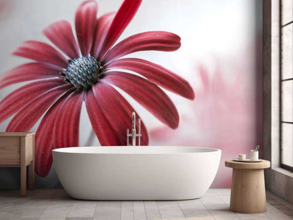 Red Daisy