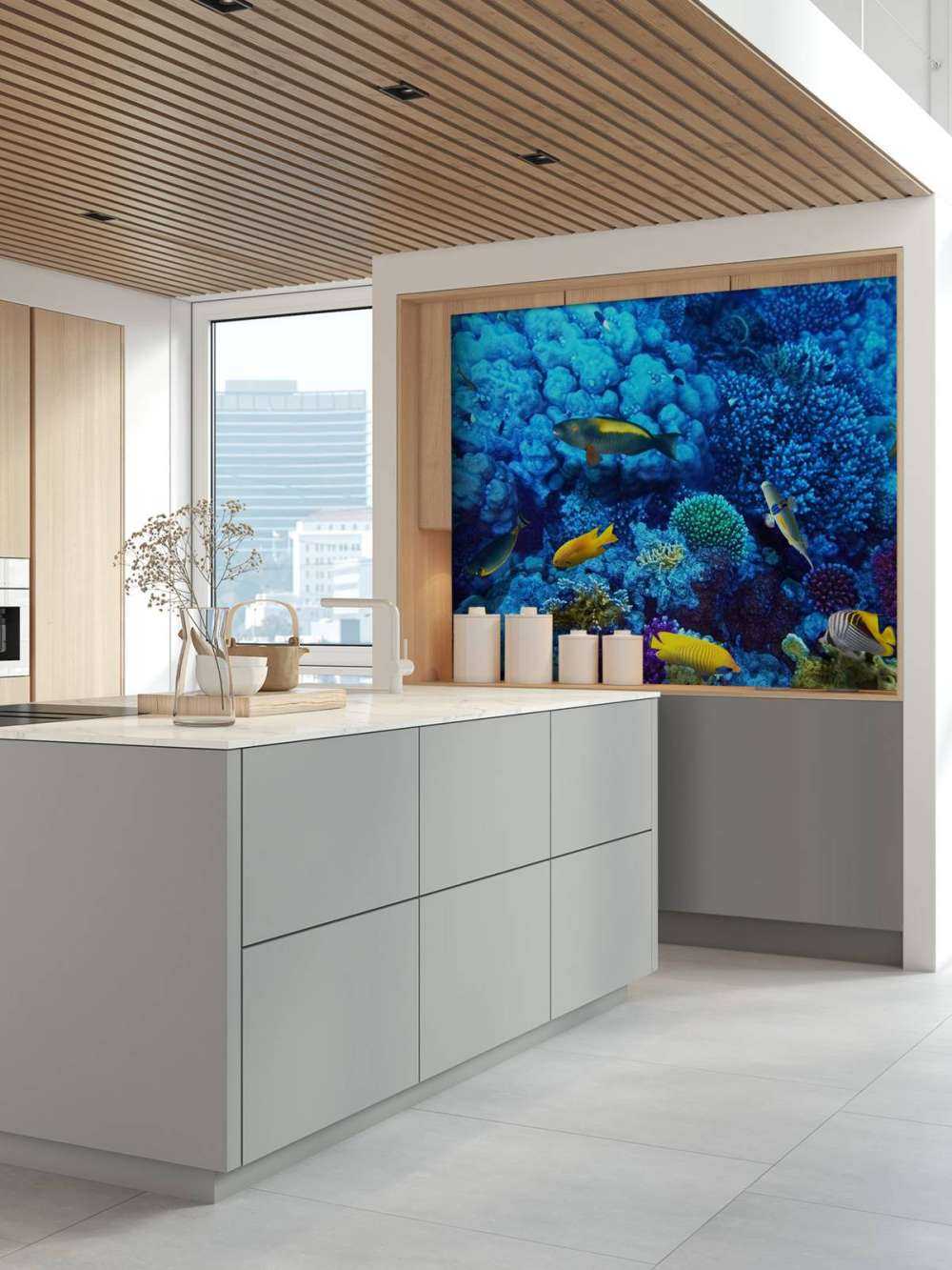 Fische und Korallen