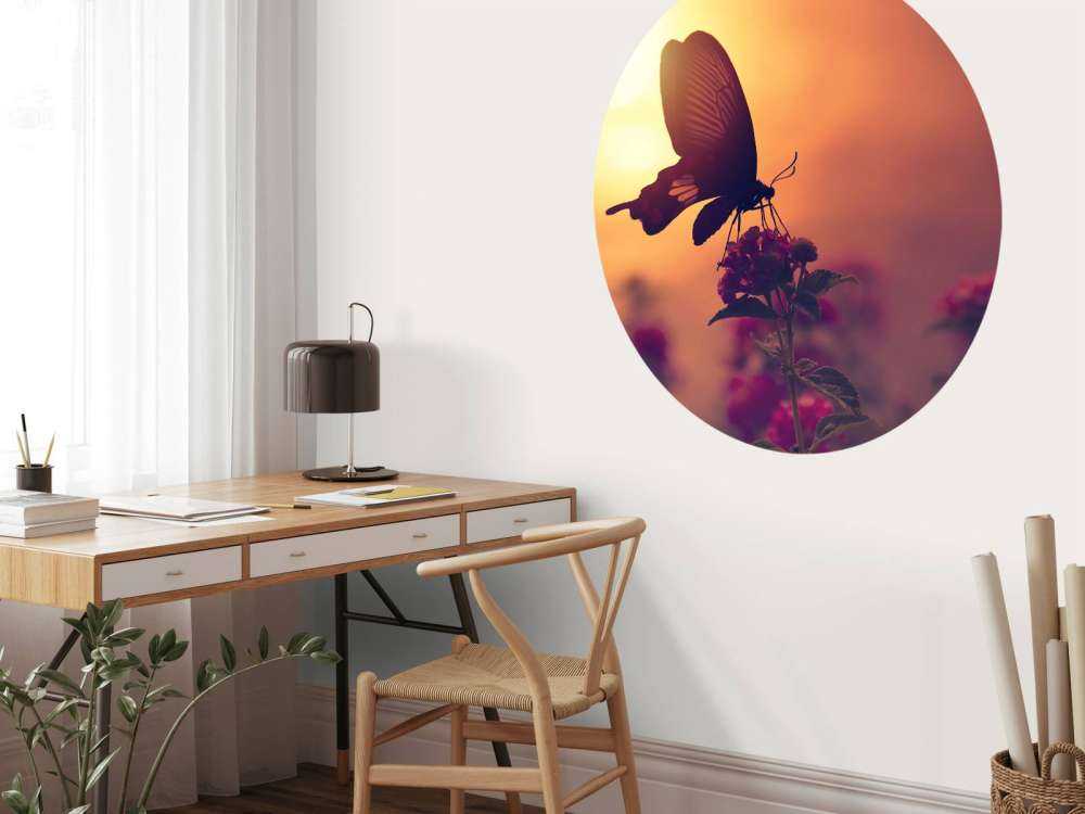 Schmetterling mit Sonnenuntergang
