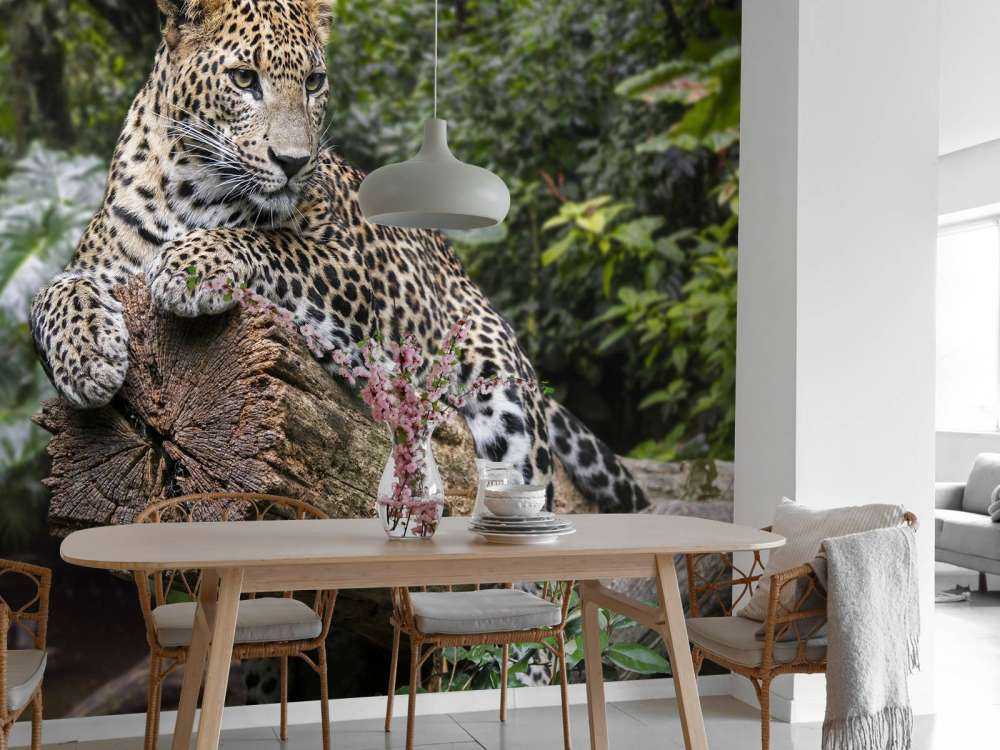 Leopard auf Baum