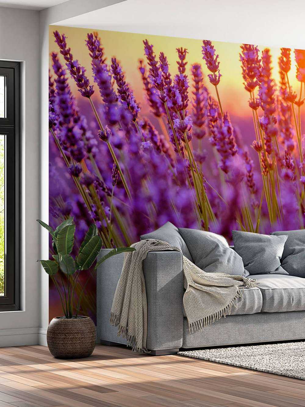 Nahaufnahme Lavendel