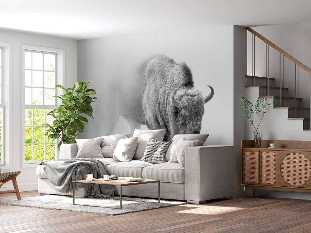 Bison schwarz, weiß