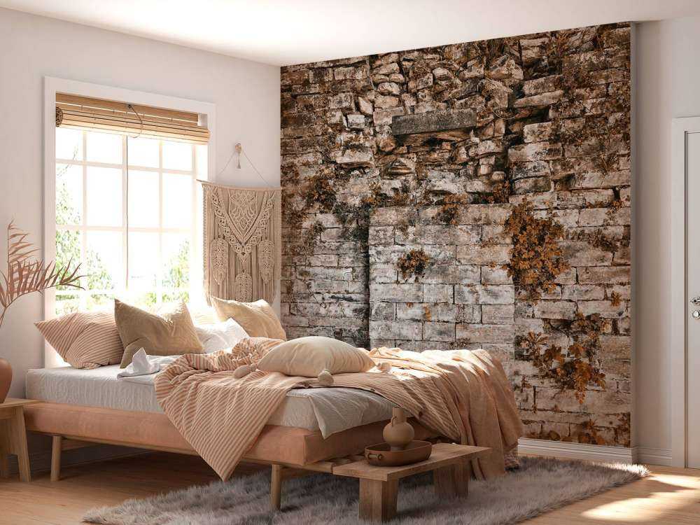 Begrünte Mauer im Herbst