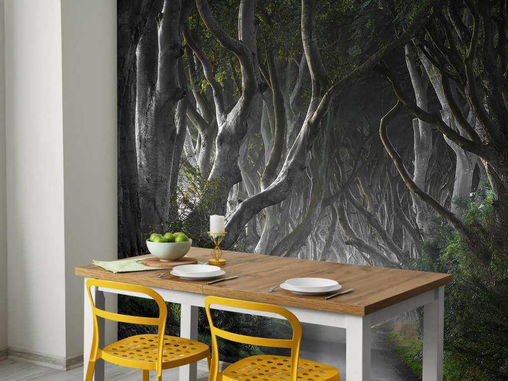 Dark Hedges