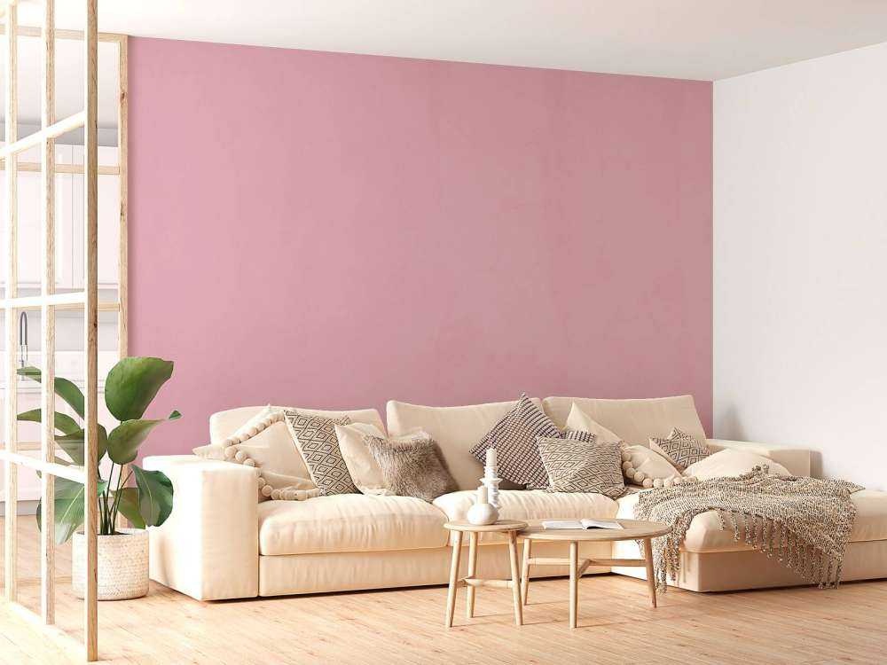 Cameo rosa Beton