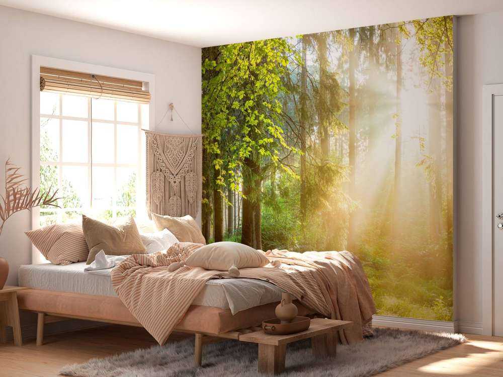 Waldlandschaft bei Sonnenaufgang