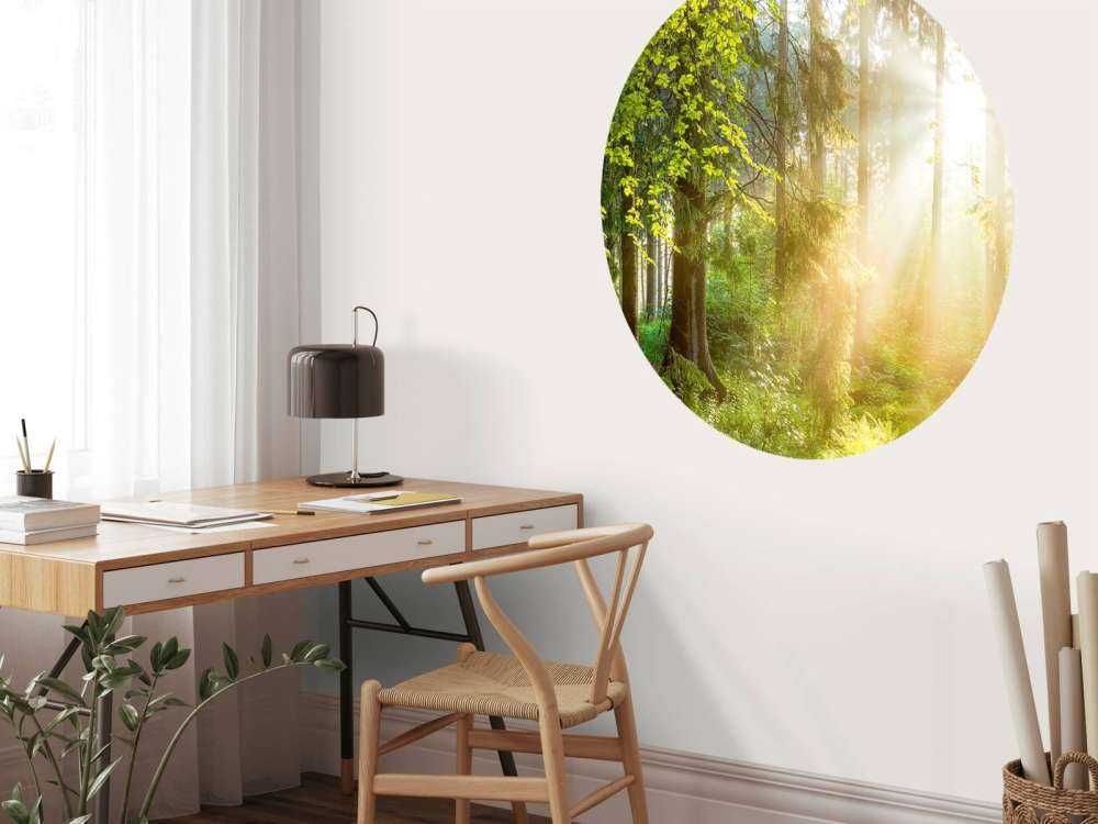 Waldlandschaft bei Sonnenaufgang